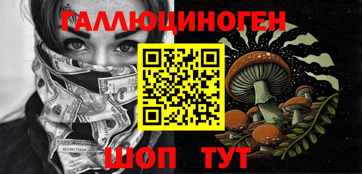 Искитим  Псилоцибиновые грибы Magic Shrooms  Вход с VPN 