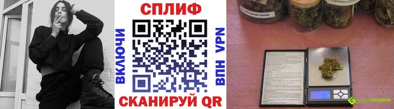 Конопля семена  цена   Искитим 